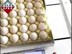 Маленький струйный принтер для яиц Xy Axis Интеллектуальный струйный принтер для яиц