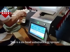 Автоматическая машина для кодирования яичного спрея с шестью соплами